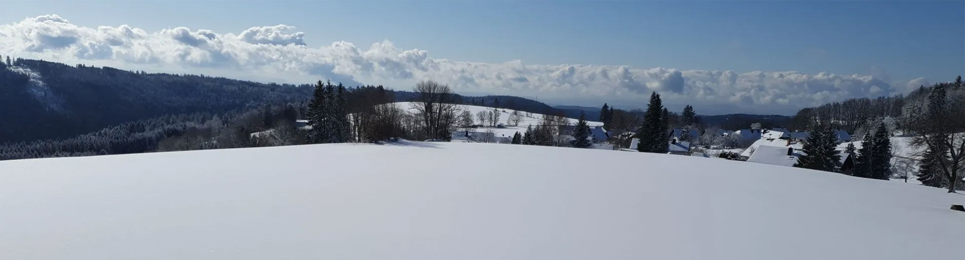 Torantriebe